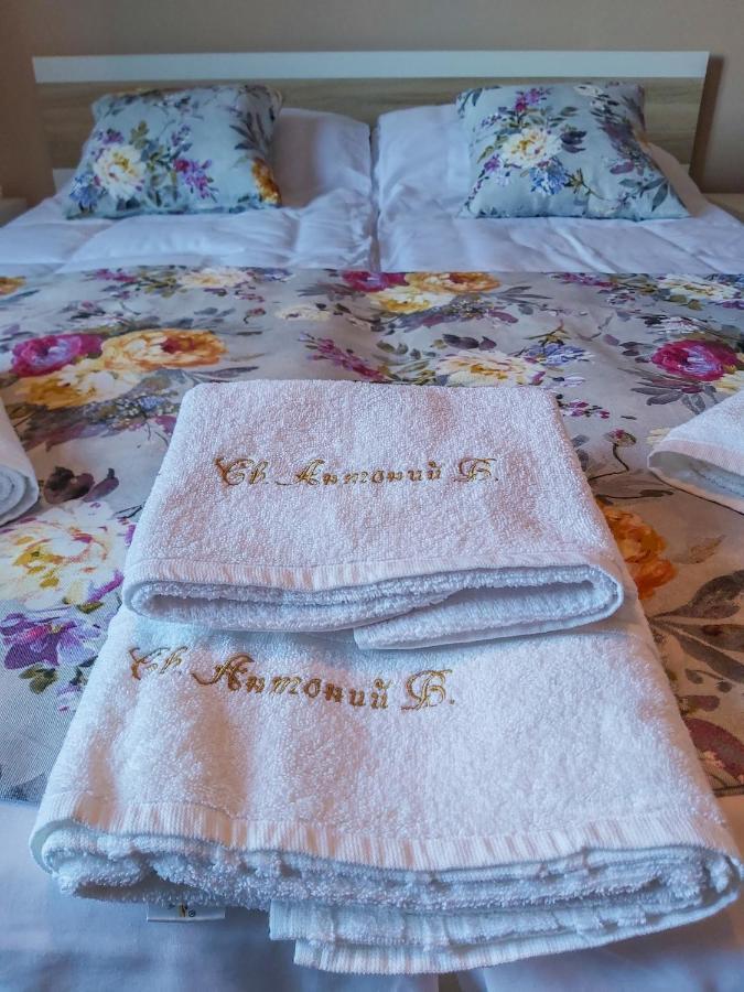 Апартамент Св. Антоний Велики Apartment St. Anthony The Great サンダンスキ エクステリア 写真